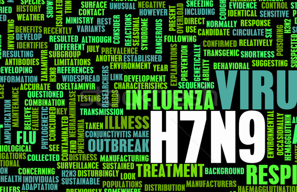 H7N9 Stock photo © kentoh