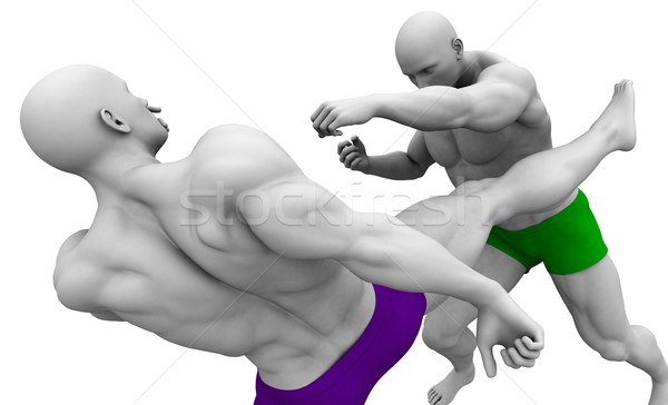 Kampfkünste Ausbildung zwei Körper Fitness Zug Stock foto © kentoh