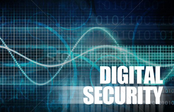 Stock photo: Digital Security
