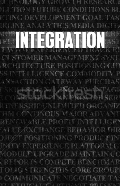 Stock photo: Integration