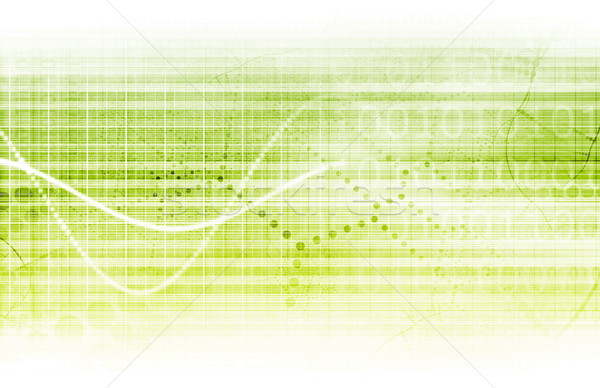 Digital Security Stock photo © kentoh