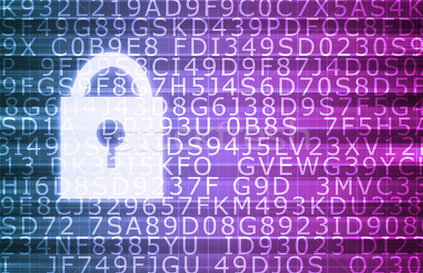Biztonság technológia online digitális magánélet titkosítás Stock fotó © kentoh