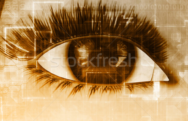 Online privacy groot broer persoonlijke gegevens Stockfoto © kentoh