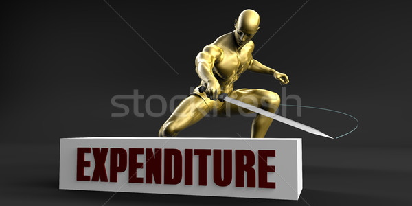 Reduce Expenditure Stock photo © kentoh