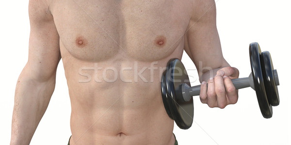 [[stock_photo]]: Homme · haltères · fitness · fond · wallpaper