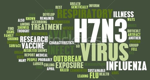 H7N3 Stock photo © kentoh