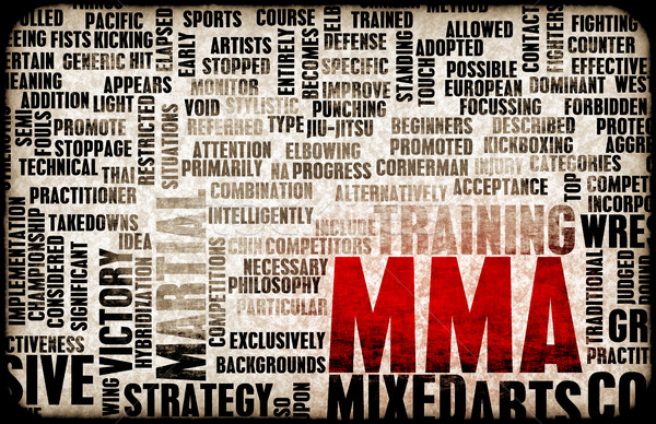 Mixed Martial Arts or MMA Stock photo © kentoh