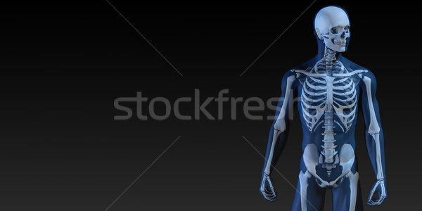 Humaine osseuse structure diagramme bleu noir [[stock_photo]] © kentoh
