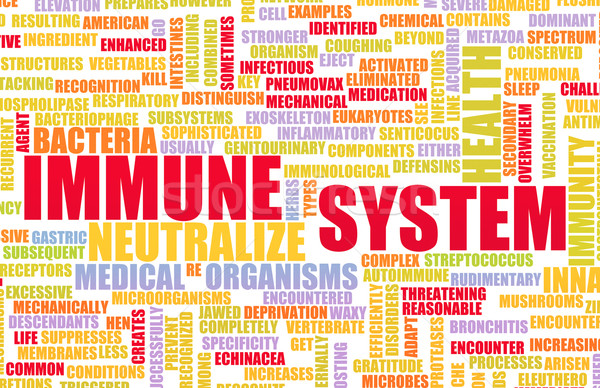 Immunsystem gut gesunden menschlichen Körper medizinischen Stock foto © kentoh