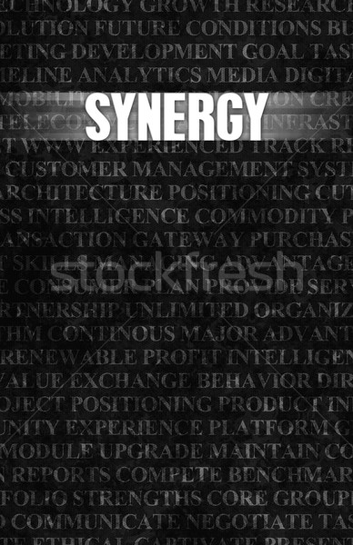 Synergy Stock photo © kentoh