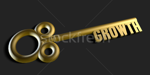 Stock photo: Key To Your Growth