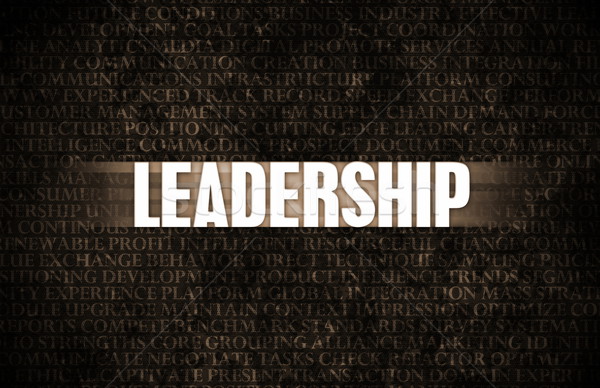 リーダーシップ ビジネス モチベーション 石の壁 壁 岩 ストックフォト © kentoh