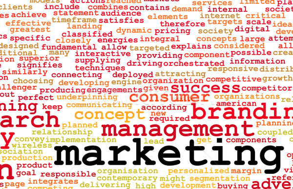 Marketing Plan Stock photo © kentoh