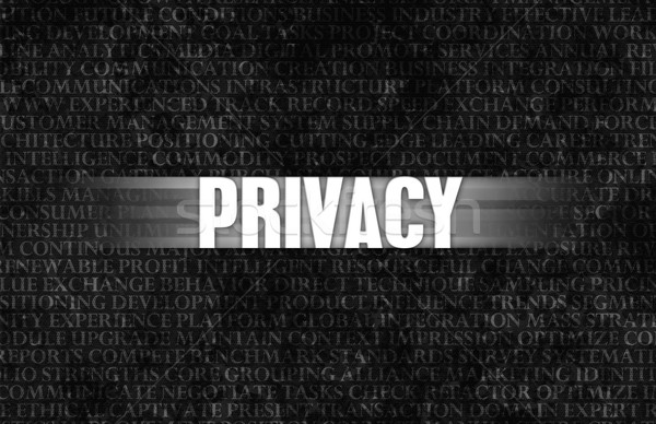 Privacy Stock photo © kentoh