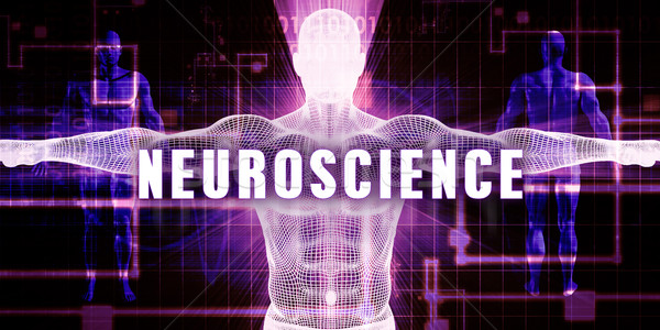 Neuroscience Stock photo © kentoh