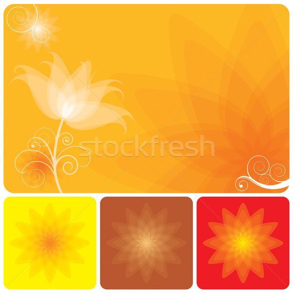 Floral résumé orange automne fleur design [[stock_photo]] © keofresh