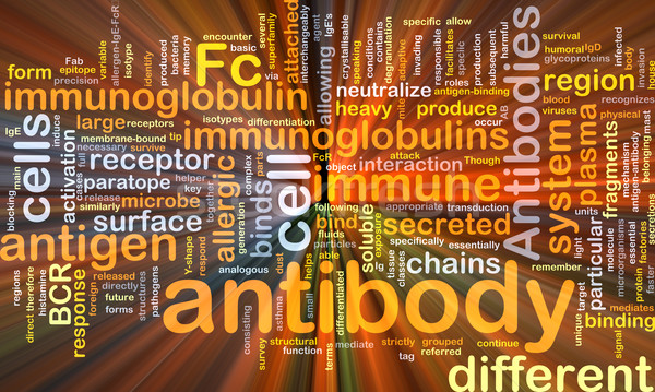 Antibody background concept glowing Stock photo © kgtoh