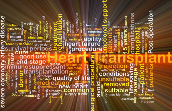 Szív átültetés izzó szófelhő illusztráció fény Stock fotó © kgtoh