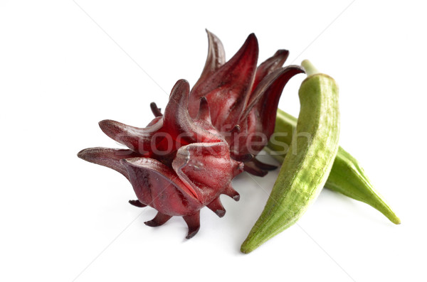 Stock photo: Roselle and Okra