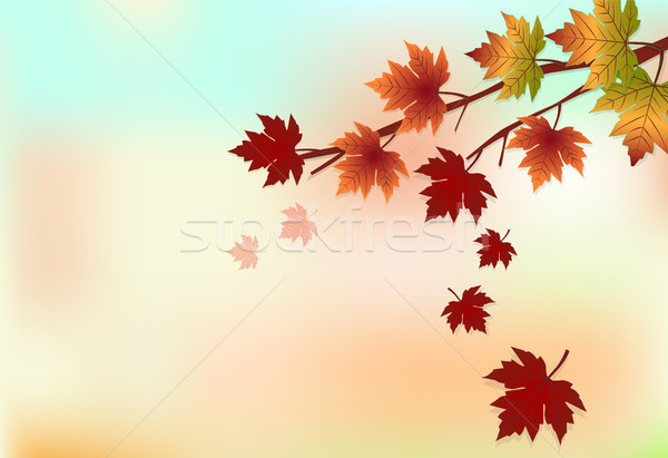 Maple tree and leaves floating, autumn background, paper art style Stock photo © Kheat