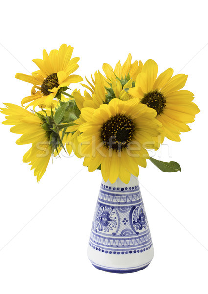 Sonnenblumen Vase isoliert weiß Blumen Hintergrund Stock foto © Kidza