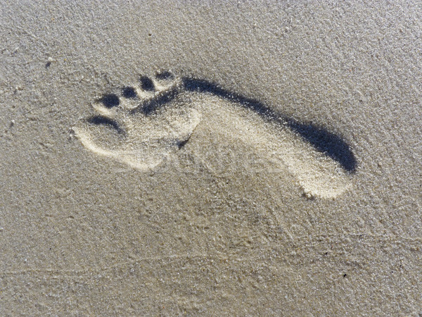 Empreinte sable plage résumé nature Voyage [[stock_photo]] © Kidza