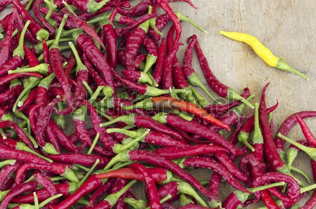 Red hot peppers with the exception of yellow Stock photo © Kidza