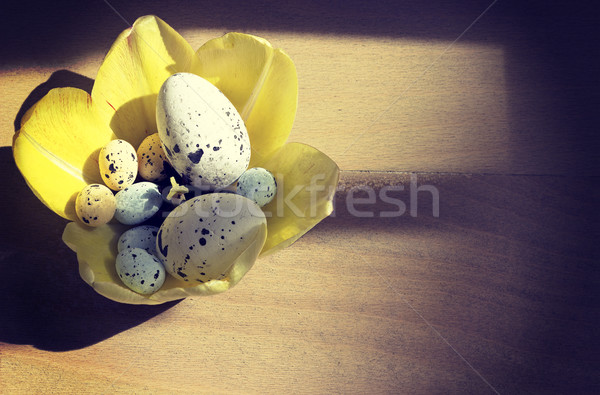 желтый тюльпаны пасхальных яиц Tulip яйца гнезда Сток-фото © Kidza