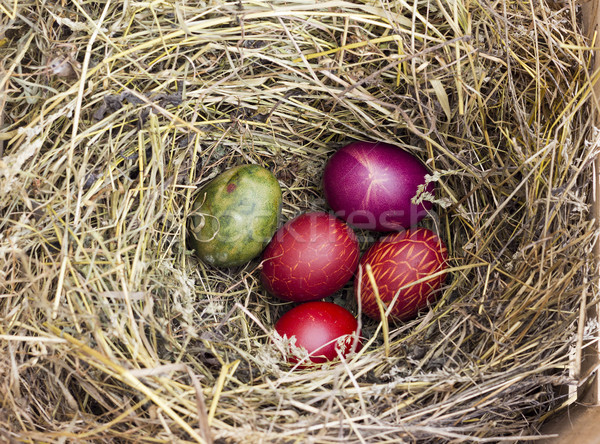 œufs de Pâques nid coloré haut vue Pâques [[stock_photo]] © Kidza