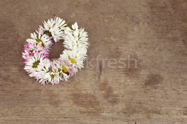 Daisy faible couronne marguerites vieux table en bois [[stock_photo]] © Kidza