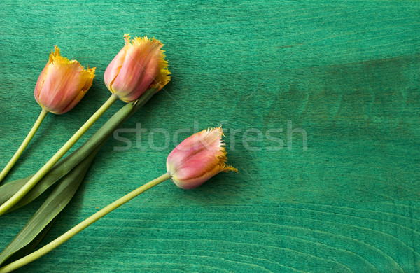 Bouquet tulipes vert Pâques décoration [[stock_photo]] © Kidza