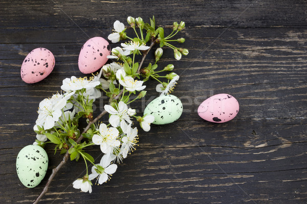 Cerise fleurs œufs de Pâques Pâques printemps heureux [[stock_photo]] © Kidza