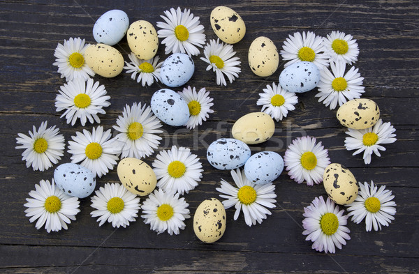 Joyeuses pâques Pâques œufs de Pâques Daisy fleurs texture [[stock_photo]] © Kidza