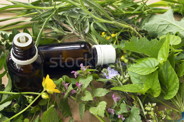 Phytothérapie herbes médecine médecine alternative verre fond [[stock_photo]] © Kidza