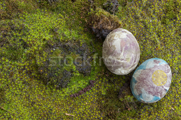 復活節彩蛋 苔 性質 雞蛋 綠色 畫 商業照片 © Kidza
