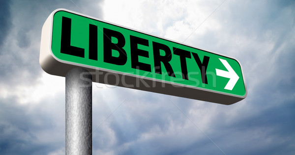 liberty Stock photo © kikkerdirk