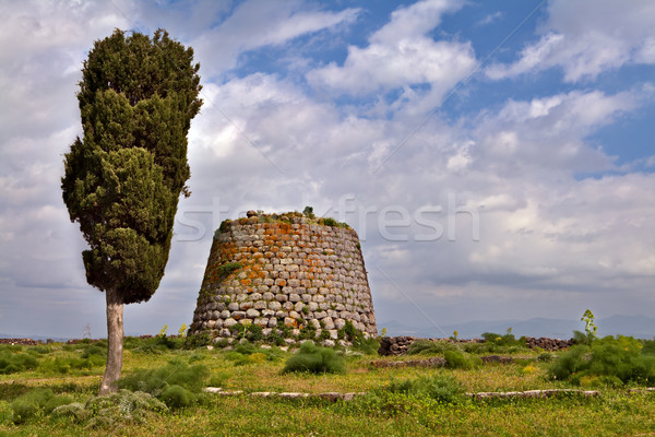 Turm Italien Ruinen Kiefer Gebäude Bronze Stock foto © kikkerdirk