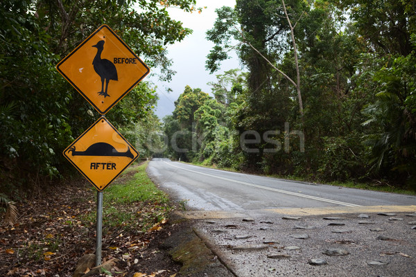 Signe nature conservation protection oiseau [[stock_photo]] © kikkerdirk