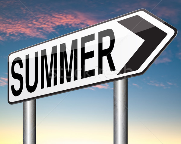 summer time Stock photo © kikkerdirk