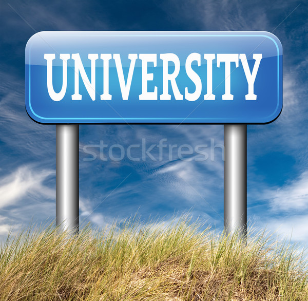 Universidade educação graduação estudar aplicação Foto stock © kikkerdirk