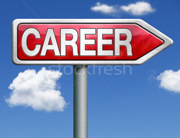 career road sign arrow Stock photo © kikkerdirk