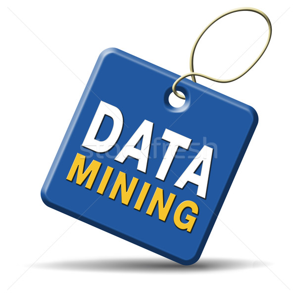 data mining icon Stock photo © kikkerdirk