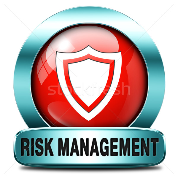 risk management Stock photo © kikkerdirk
