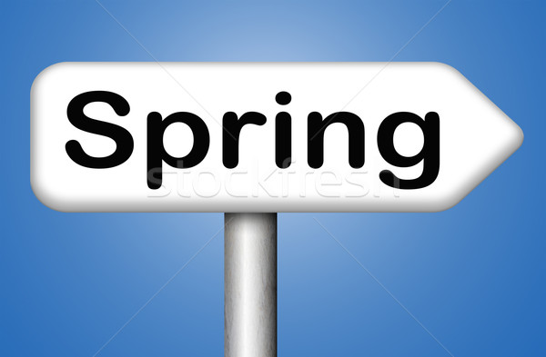 spring time Stock photo © kikkerdirk