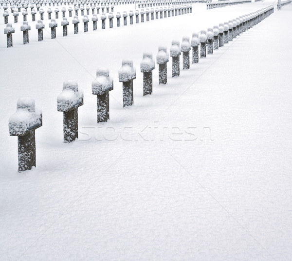 Kerkhof sneeuw kruisen bomen militaire gedekt Stockfoto © kikkerdirk