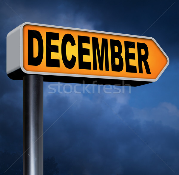 December Stock photo © kikkerdirk