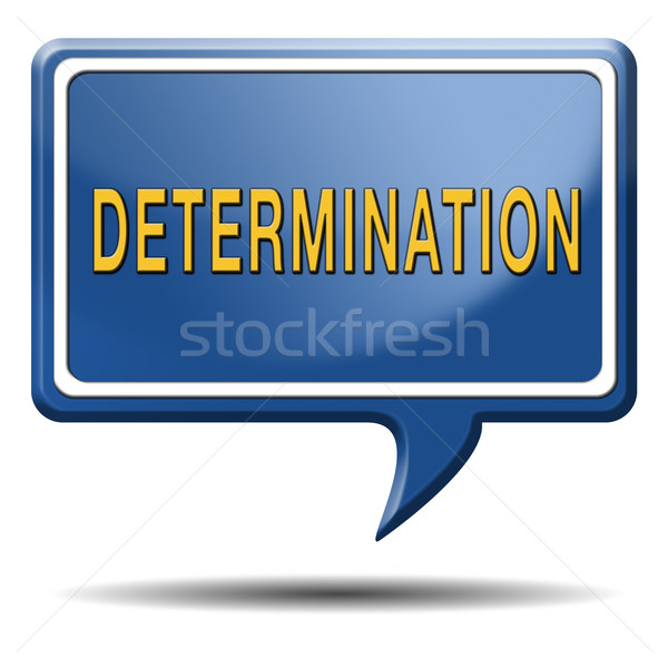 determination Stock photo © kikkerdirk