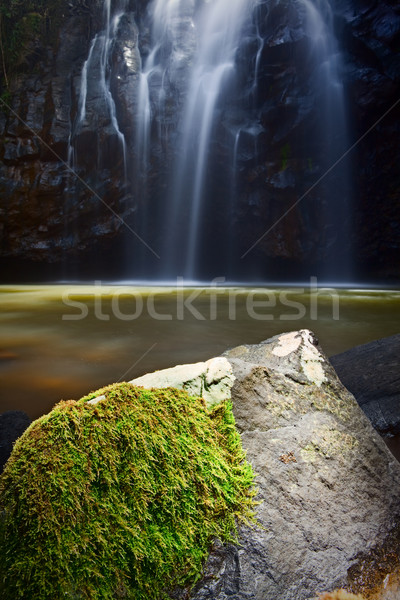 Idyllique paradis cascade vert mousse croissant [[stock_photo]] © kikkerdirk