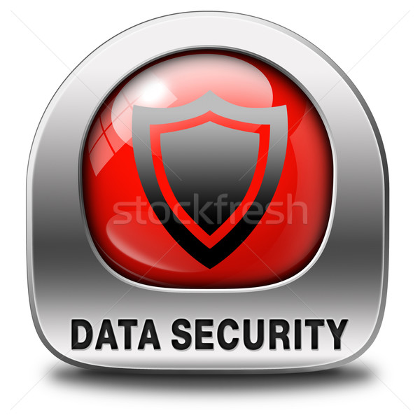 data security Stock photo © kikkerdirk