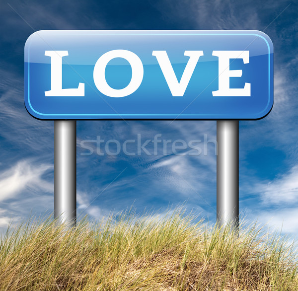 find love Stock photo © kikkerdirk